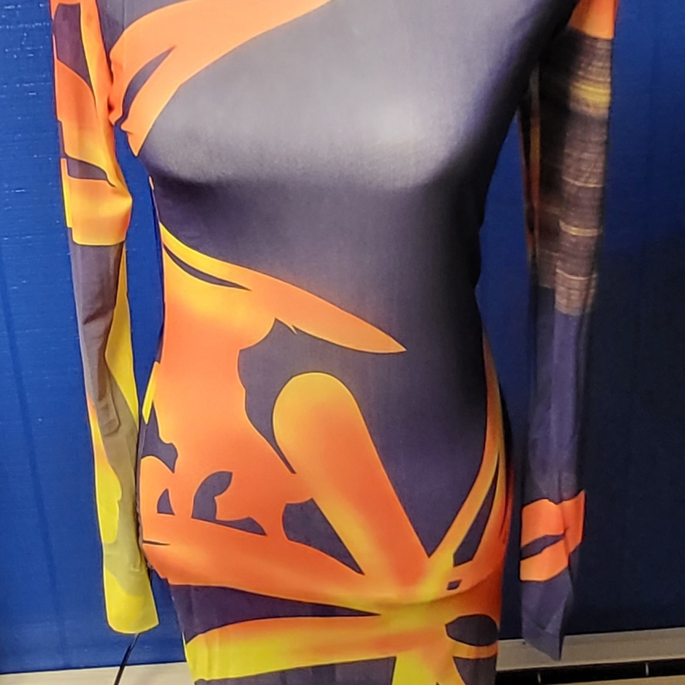 Sheer Dress